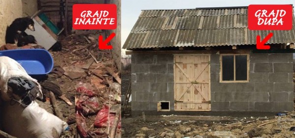 10967057_805287212883361_63840666_n